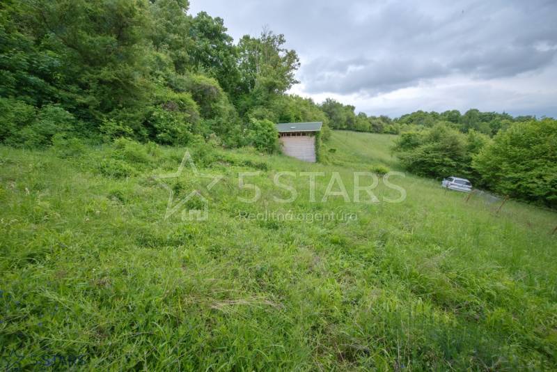 Grassy slope and garage among trees on Recreational plots in Kostolná-Záriečie.