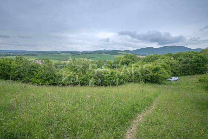 Greenery on recreational plots in Kostolná-Záriečie, surrounded by fields and forest.