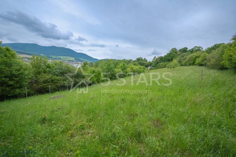 Extensive green meadows surrounded by forests in Kostolná-Záriečie on recreational grounds.