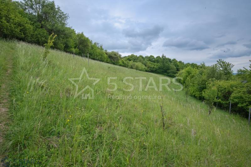 Green meadow and trees on the Recreational Lands in Kostolná-Záriečie, Kostolná-Záriečie.