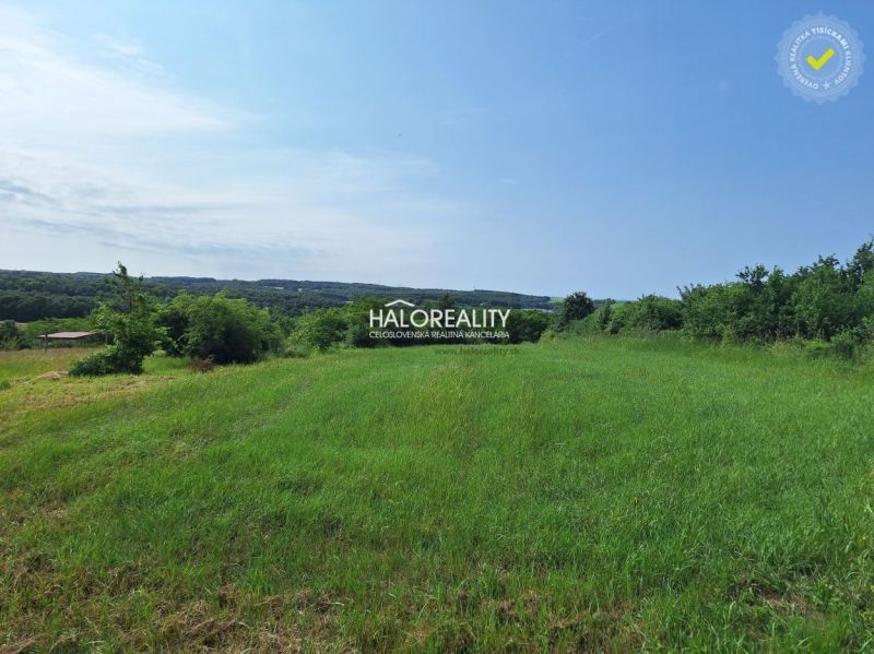 Green meadows and trees in the summer landscape near recreational properties in Žemberovce.