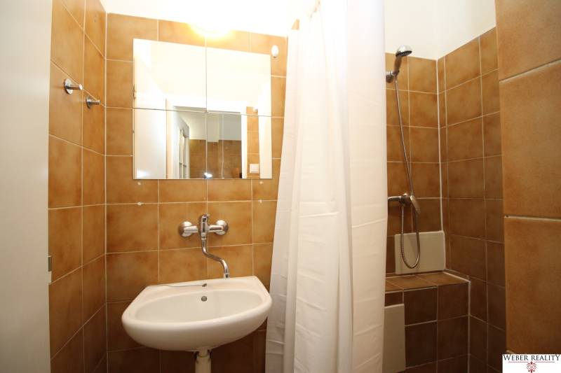 Bathroom in a studio apartment with brown tiles, a sink, and a shower.