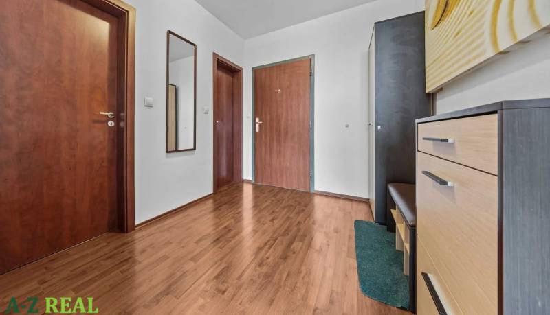 Entrance hall in a 2-room apartment with wardrobes and a wall-mounted coat rack.