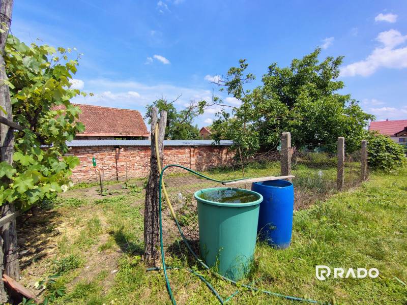 The garden of the family house on Hlavná Street in Borský Svätý Jur with a rain barrel.