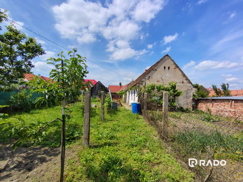 The garden at the family house on Hlavná Street in Borský Svätý Jur with a rural atmosphere.