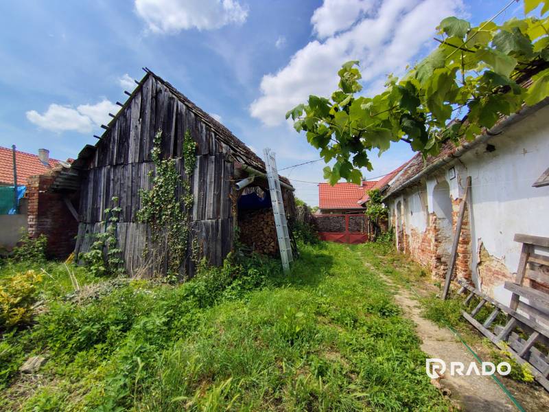 The garden of the family house on Hlavná Street in Borský Svätý Jur, overgrown with vegetation.