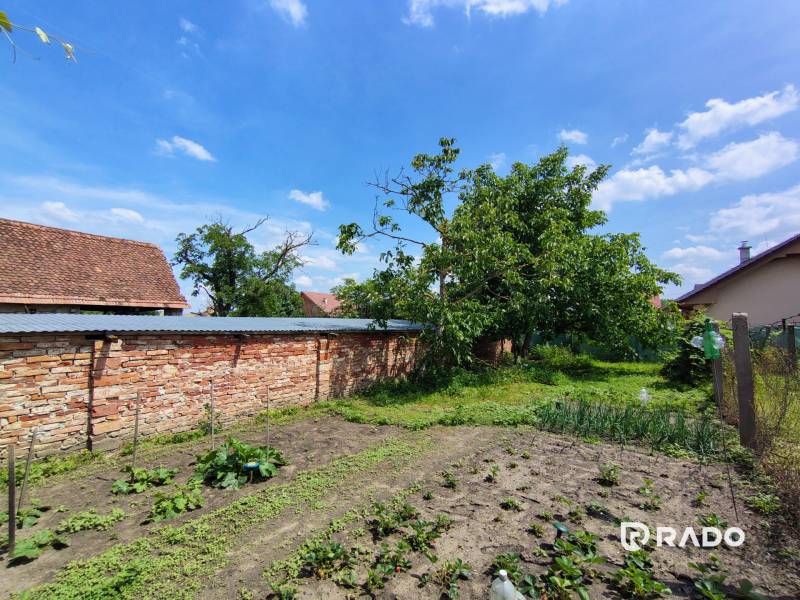 The garden of a family house in Borský Svätý Jur on Hlavná Street, with fruit trees.