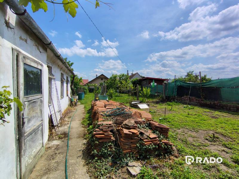 View of the garden behind the family house on Hlavná Street in Borský Svätý Jur.