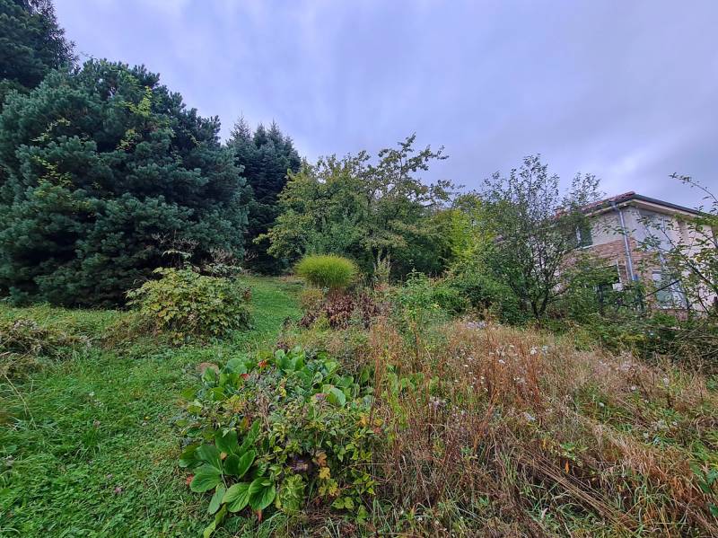 Overgrown slope with bushes and trees on a plot in Bratislava - Dúbravka, Tavarikova settlement.