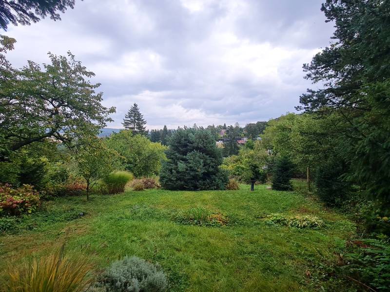 Greenery and trees in Bratislava - Dúbravka at Tavarikova Settlement, Construction of houses.