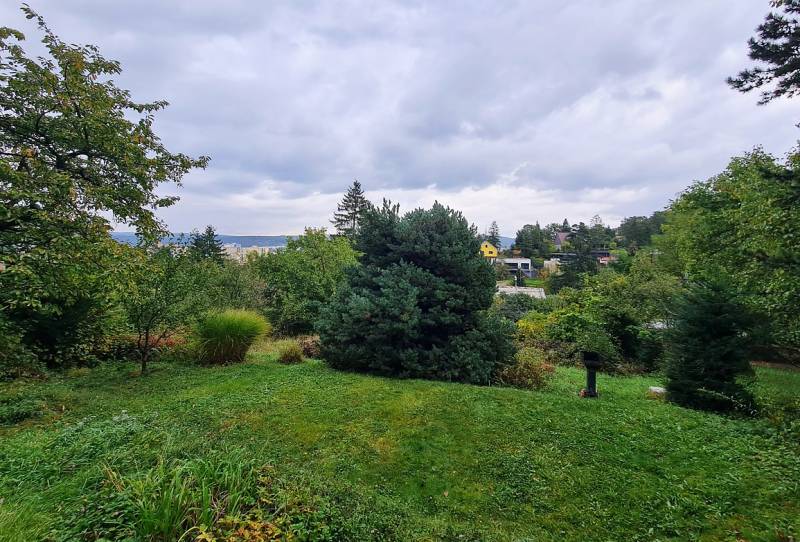 Trees and grassy area on the property during the construction of houses in Bratislava - Dúbravka, Tavarikova settlement.
