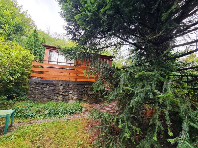 Wooden cottage with a garden, pine tree, stone wall, in Bratislava-Dúbravka, Tavarikova osada.