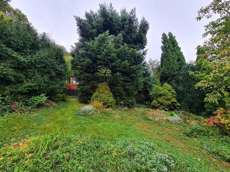 A well-maintained garden with abundant greenery, hidden among the trees in the Tavarikova osada area, Bratislava - Dúbravka.