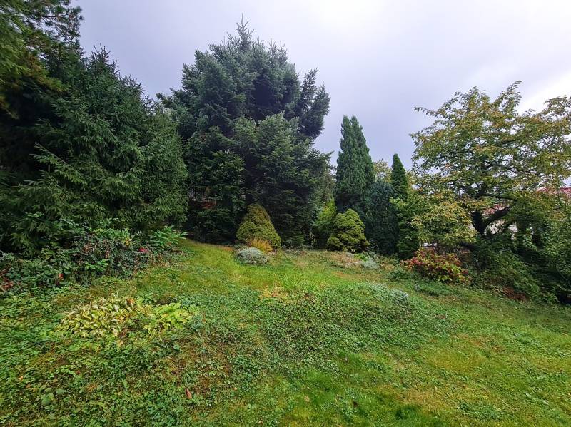 A garden with dense greenery and various types of trees in the area of Bratislava - Dúbravka.