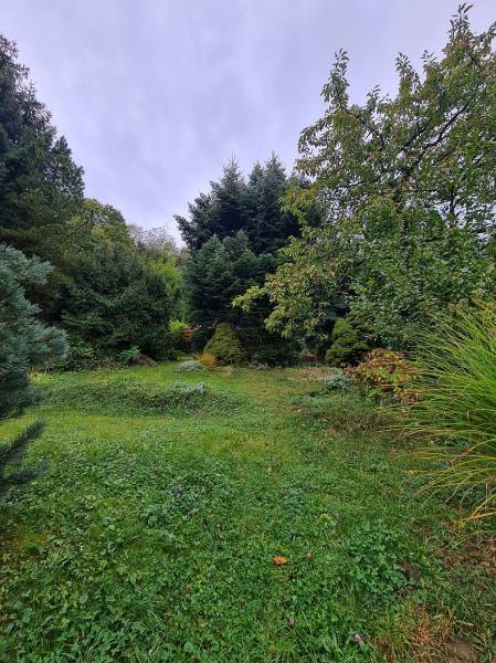 A garden with dense greenery, trees, and a lawn in a residential development, Bratislava - Dúbravka.