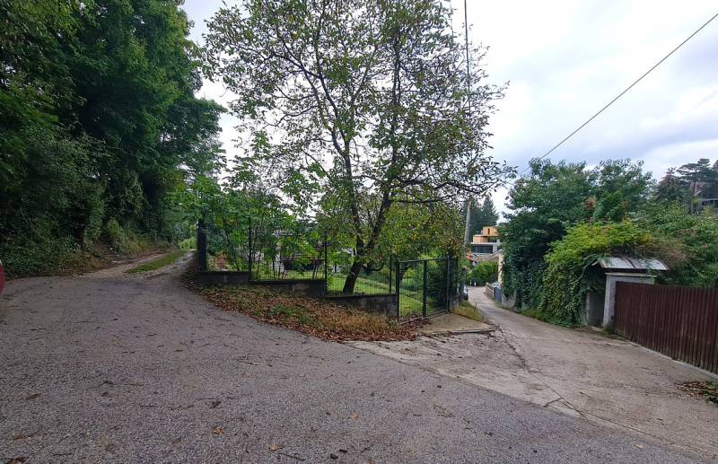 Paths between trees in Tavarikova Settlement in Bratislava - Dúbravka, construction of houses.
