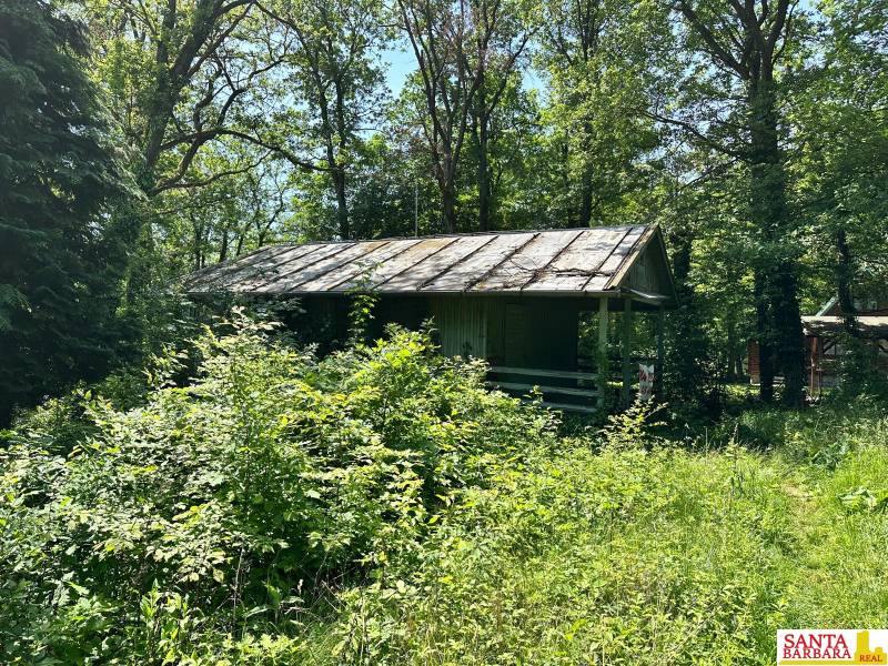 A cottage surrounded by greenery in Harmónia in Modra, immersed in a natural environment.