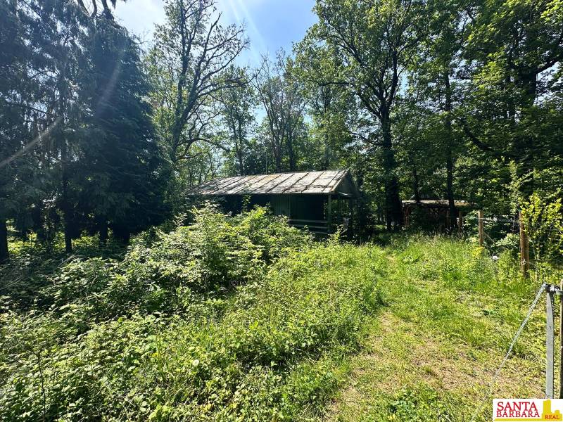 A cottage in Harmónia, Modra, surrounded by dense greenery and forest environment.