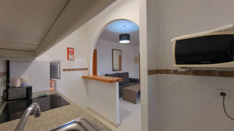 The kitchen of a holiday apartment with a view into the living room and cooking equipment.