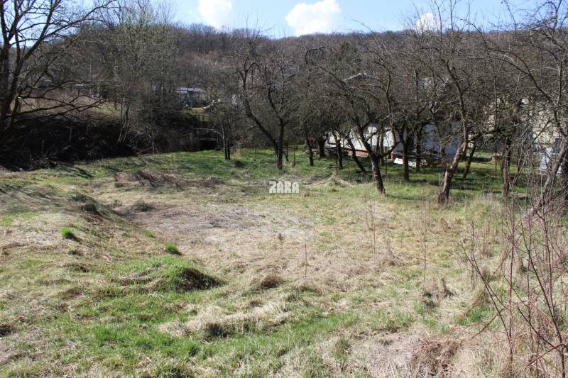 Garden on Myslavská Street and Gardens, trees, grass, gently sloping terrain, peaceful location.
