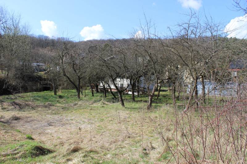 Land with fruit trees, nature on Myslavská and Záhrady streets, clear sky.
