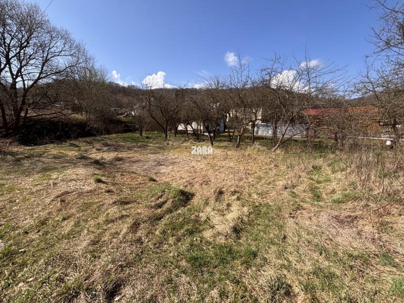 A garden with grass and trees on Myslavská Street and Záhrady, the sky is clear.