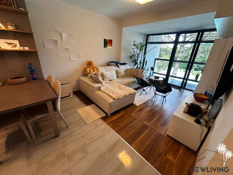 Bright living room in a 2-room apartment with a comfortable sofa and a large window.