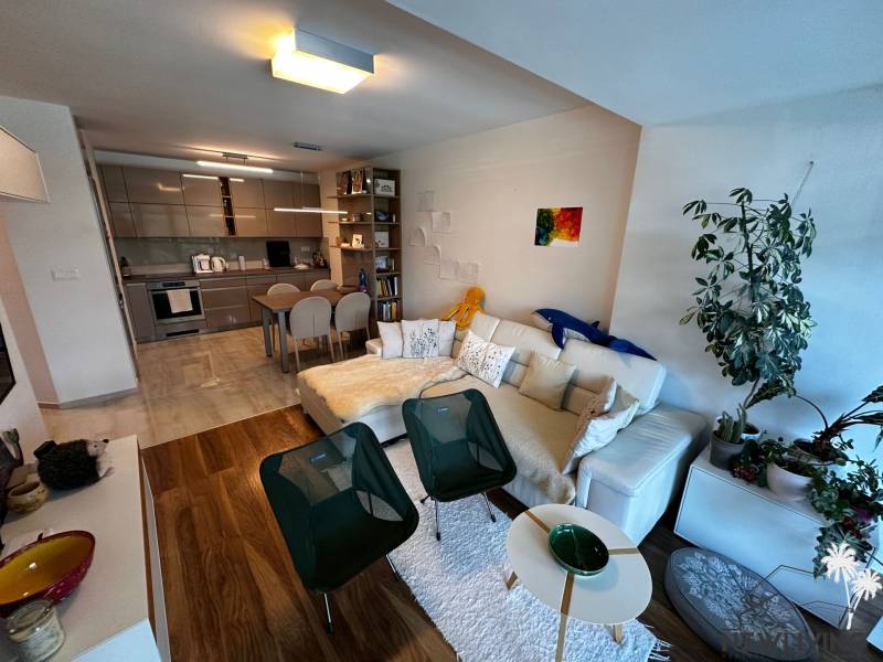 Living room and kitchen in a 2-room apartment with a comfortable sofa and decorations.