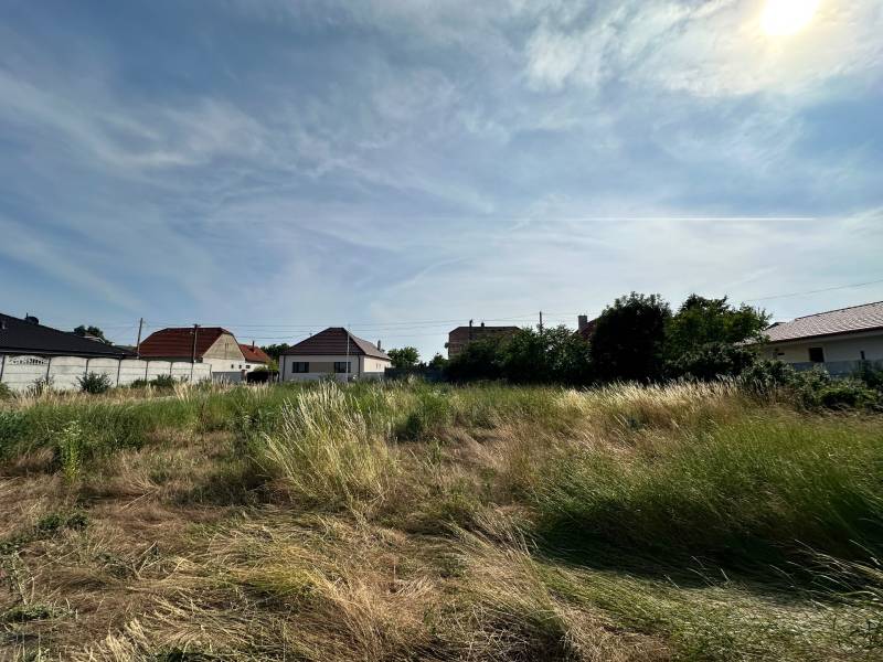 Plots - housing in Slovenská Nová Ves; overgrown field with neighboring houses in the background.