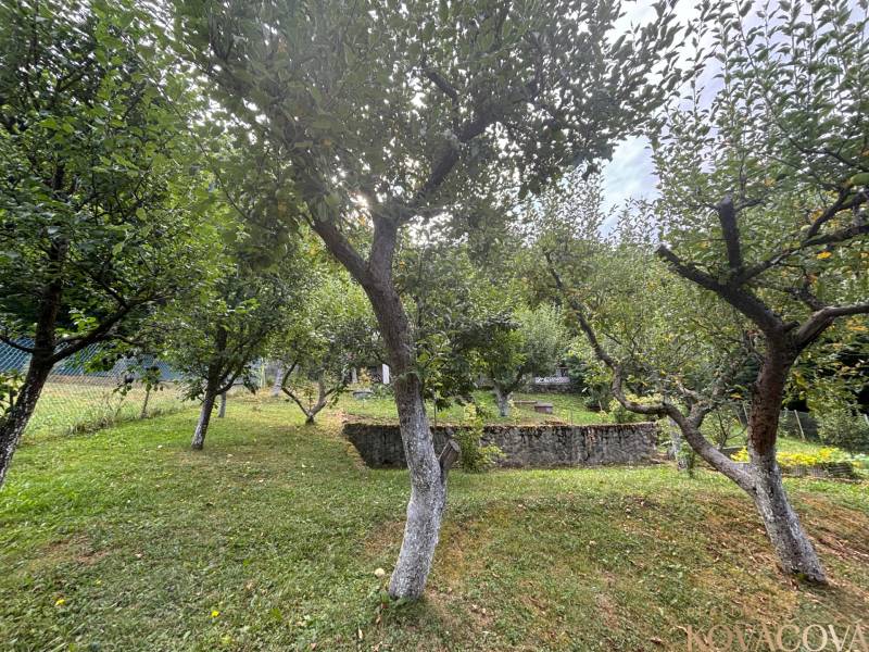 A garden with green trees surrounds the cottage, creating a natural environment full of tranquility.