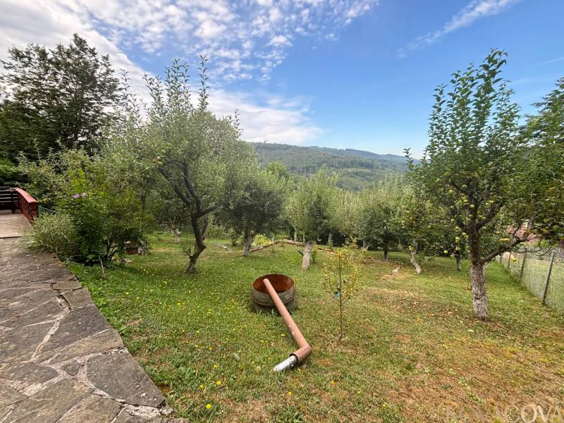 Orchard, nature, trees, mountains, terrace, lawn, sky, cottage in the heart of the countryside.