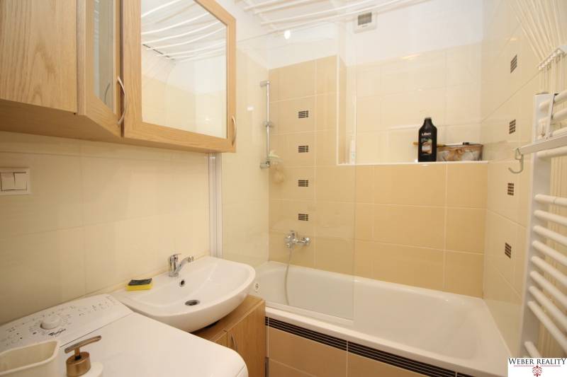 Bathroom with a shower, sink, and washing machine in a 2-room apartment.