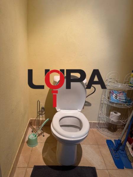Bathroom in a family house with a toilet and a toilet paper holder.