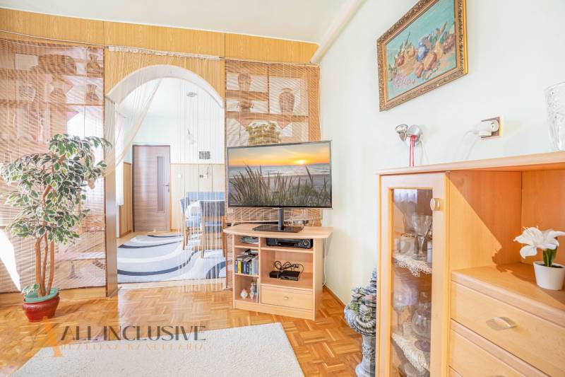 Living room in a family house with a television, a wardrobe, and a houseplant.
