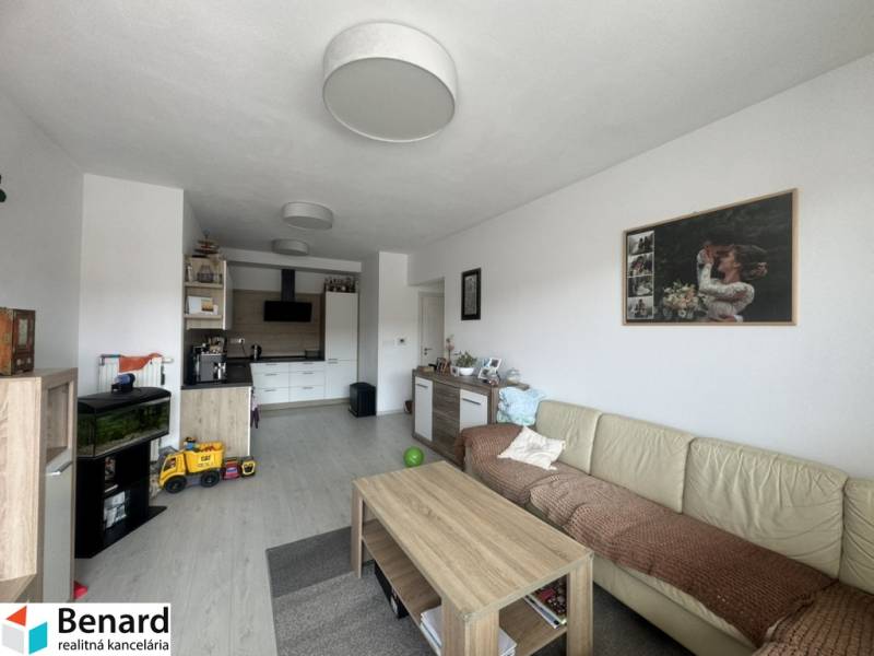 Living room in a two-room apartment with a spacious couch and a kitchenette.