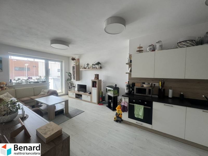 Living room in a 2-room apartment with a light kitchen unit and a comfortable sofa.