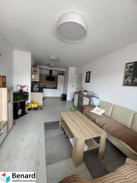 Living room in a two-room apartment with a sofa, table, and kitchenette.
