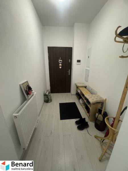 Hallway of a 2-room apartment with wooden flooring, a shoe cabinet, and an entrance door.