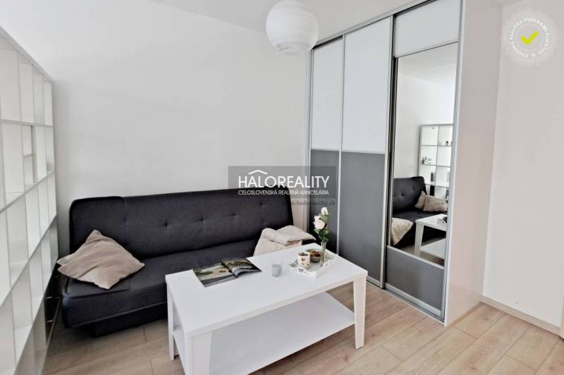 Living area with a sofa, coffee table, and built-in wardrobe in a studio apartment.