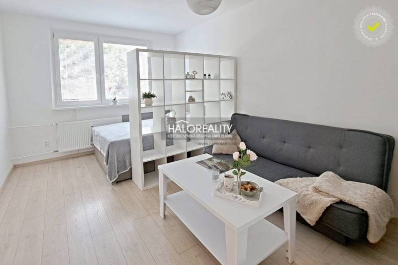 A bright interior of a one-room apartment with a gray sofa, a white table, and a bed behind a partition.