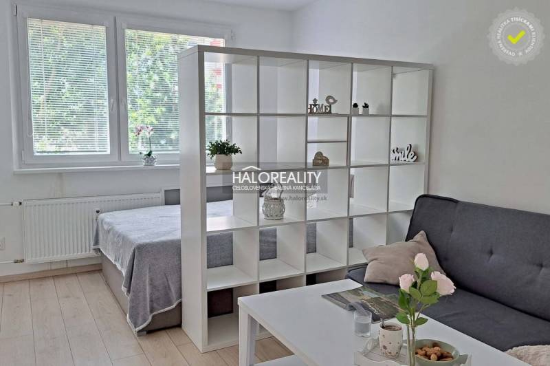 Living room with a dividing shelf and a sofa in a studio apartment.