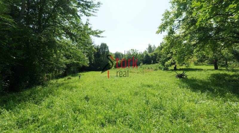 Greenery and trees on the property around Visolaje, ideal for living.