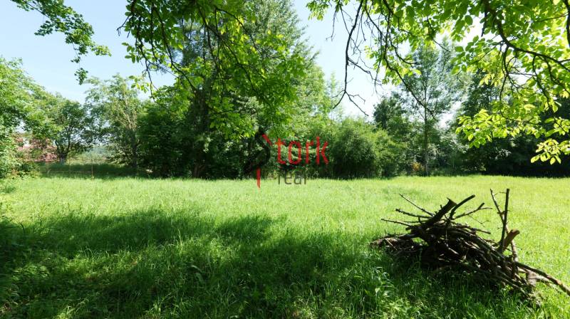 Greenery and trees on plots in Visolaje, ideal for living.
