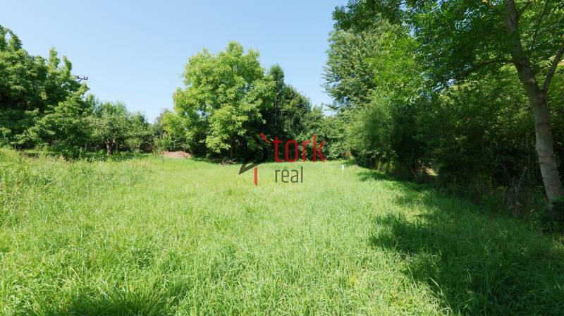 Greenery and trees on a residential plot in the town of Visolaje.