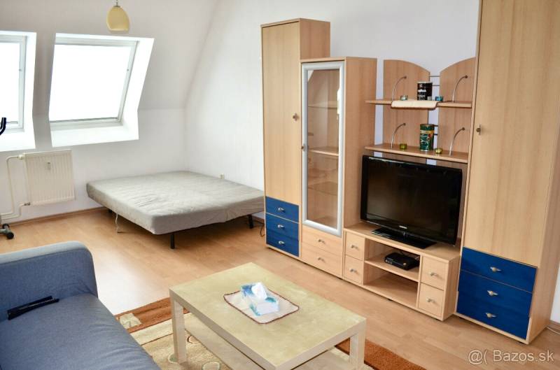 Living room in a studio apartment with a sofa, bed, cabinet, and television.