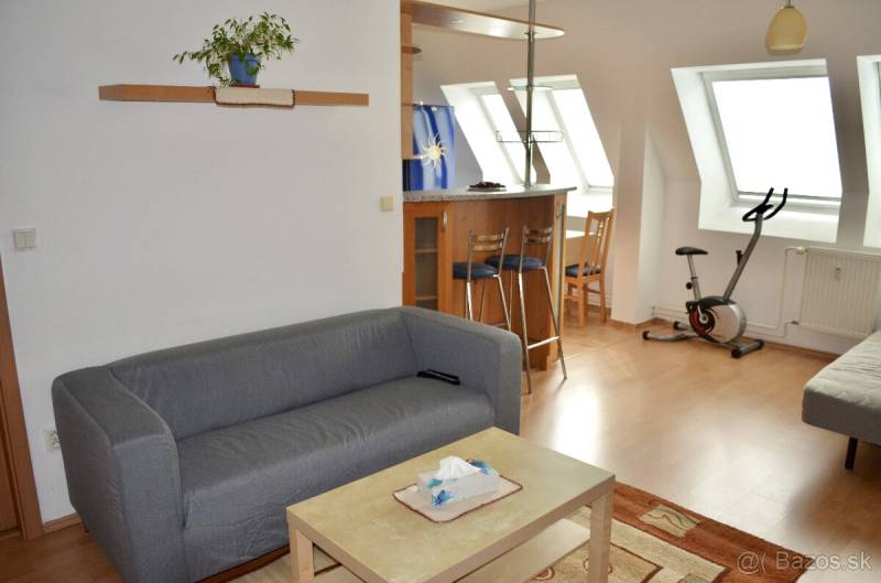 Living room with a sofa, table, bar counter, and stationary bike in a studio apartment.
