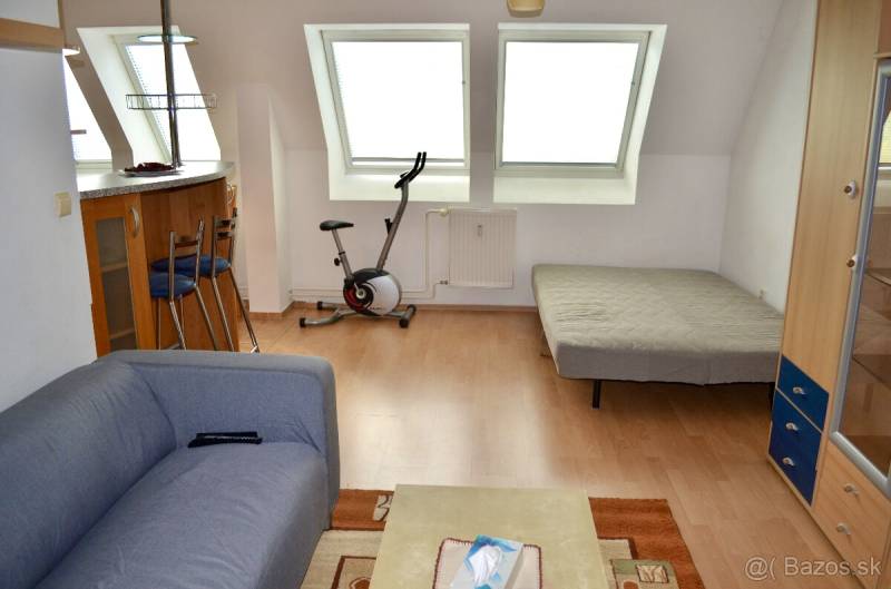 Living room with a sofa bed, table, and stationary bike in a studio apartment.