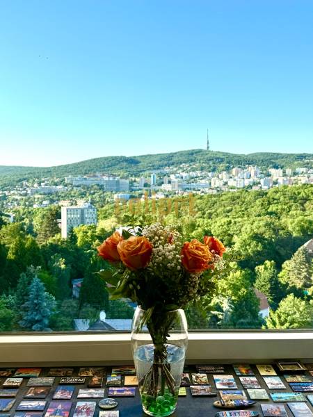 A bouquet of orange roses in a vase on the windowsill overlooking the wooded landscape of Bratislava.