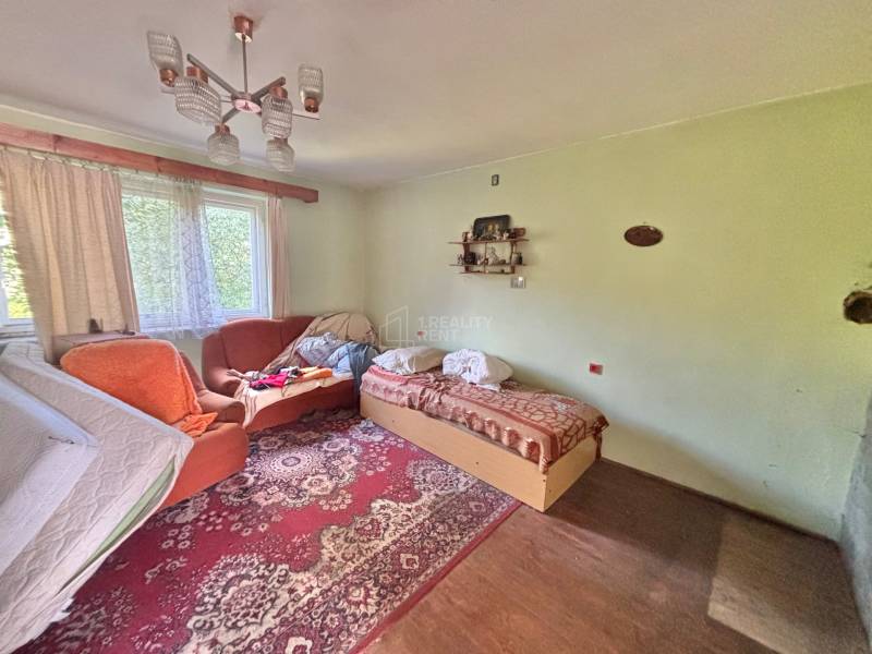 A room in a family house with a sofa, bed, and red carpet.