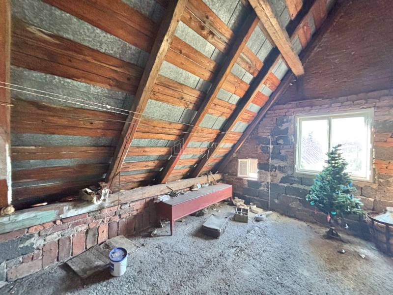 An attic with a wooden roof and a window in a family house, also adorned by a small tree.